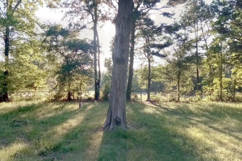 ▲Google街景服務竟然發現了一張灰色臉的女孩身影。（圖／翻攝自Google Maps）