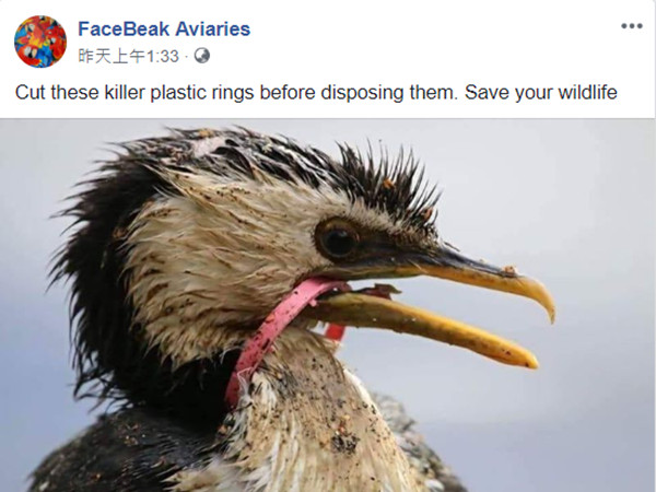 ▲鳥類被塑膠圈套出喙。（圖／翻攝自臉書粉絲專頁「FaceBeak Aviaries」）