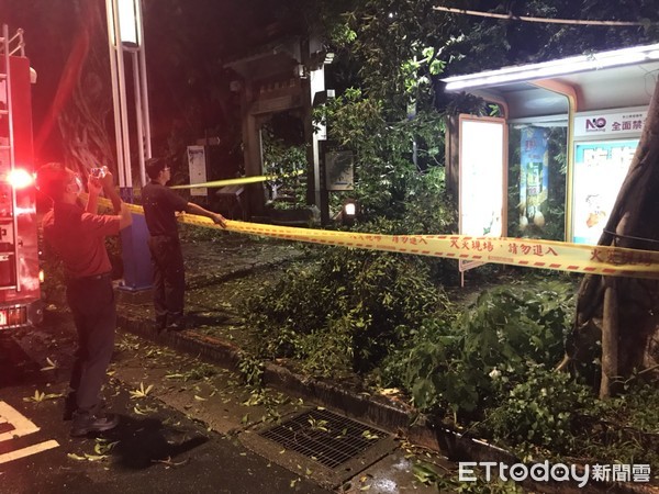 ▲▼暴雨沖走土石！「圓山風景區」大樹斷根傾倒　警消封鎖現場。（圖／記者黃彥傑攝）