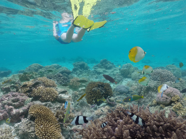 ▲庫克群島（Cook Islands）。（圖／達志newscom圖庫）