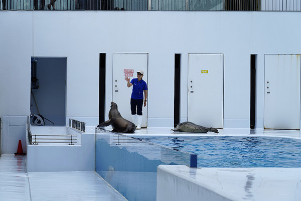 ▲▼日本山形縣鶴岡市立加茂水族館。（圖／快樂雲愛旅行提供）