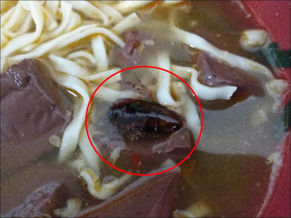 ▲網友吃麵時，竟然發現一隻大蟑螂。（圖／翻攝自爆怨公社）