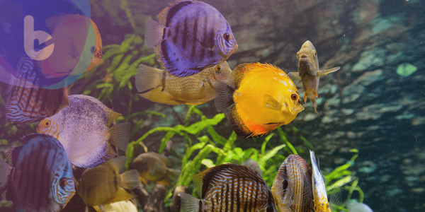 ▲▼             。（圖／記者生醫觀點攝）