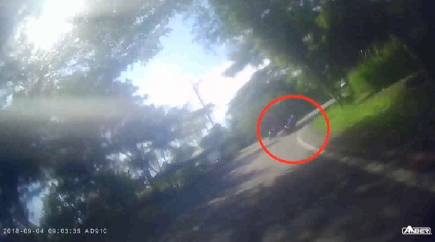 揮手後壓139線過彎！大一生拿駕照1個月後自摔重傷　新車綁大甲媽紅綵。（圖／東森新聞）