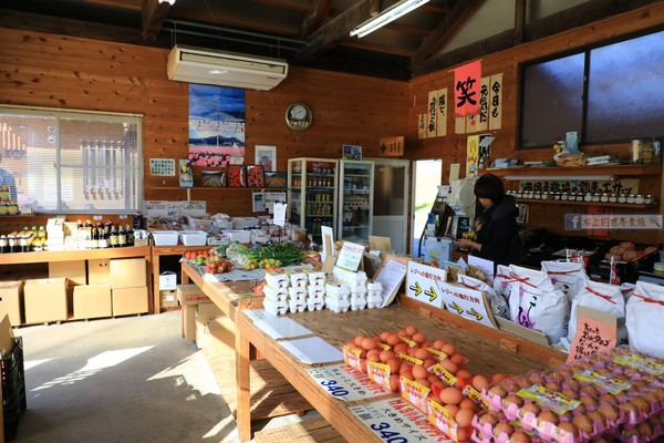 ▲▼日本兵庫豐岡但熊生雞蛋拌飯。（圖／右上45度角女生提供）