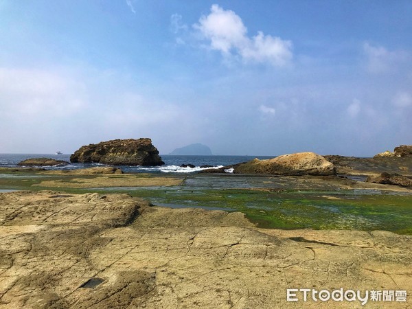 ▲ 基隆八斗子秘境「大坪海岸」 民眾驚見酷似「海豹」奇石。（圖／記者郭世賢攝）