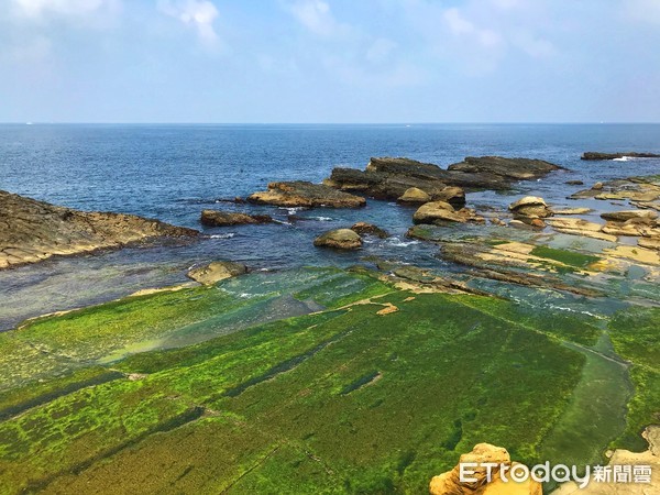 ▲ 基隆八斗子秘境「大坪海岸」 民眾驚見酷似「海豹」奇石。（圖／記者郭世賢攝）