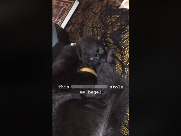▲黑貓Tobi偷貝果當枕頭。（圖／翻攝自May Hale Rinn臉書）