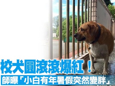 淡水老街土耳其冰淇淋老闆疑拿冰丟客人 被告妨害名譽 | ETtoday地方新聞 | ETtoday新聞雲