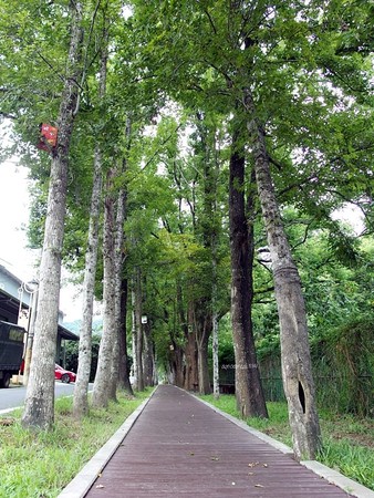 ▲▼ 「貓頭鷹步道」有整排可愛巢箱　台中超美生態社區3景點（圖／蘋果市集｜養小人顧腸胃日誌）