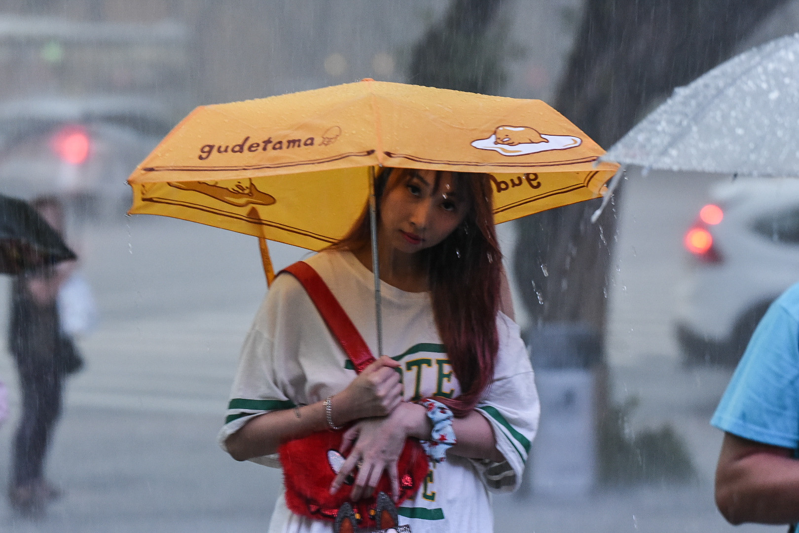 ▲大雨,豪雨,下雨,豪大雨,颱風,雷陣雨。（圖／記者林敬旻攝）