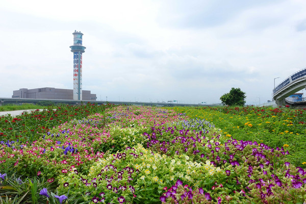 35 000盆構出彩帶花毯 北市 社子賞花新秘境 映襯河景 Ettoday旅遊雲 Ettoday新聞雲