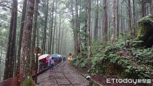 ▲▼太平山蹦蹦車19日復駛有優惠，遊客也將有耳目一新感受。（圖／記者游芳男翻攝，下同）