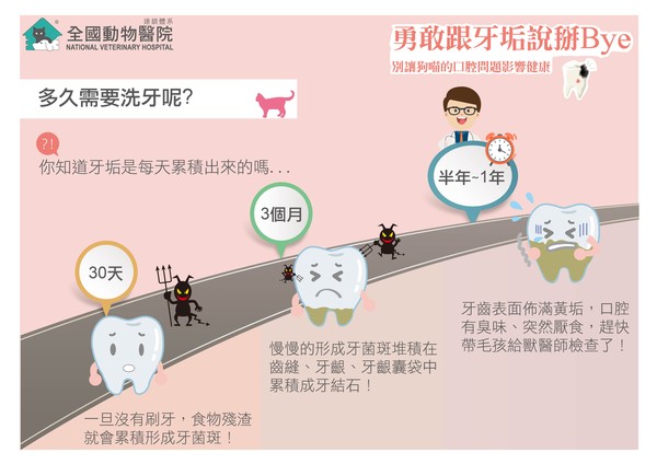 （圖／全國動物醫院連鎖體系提供）