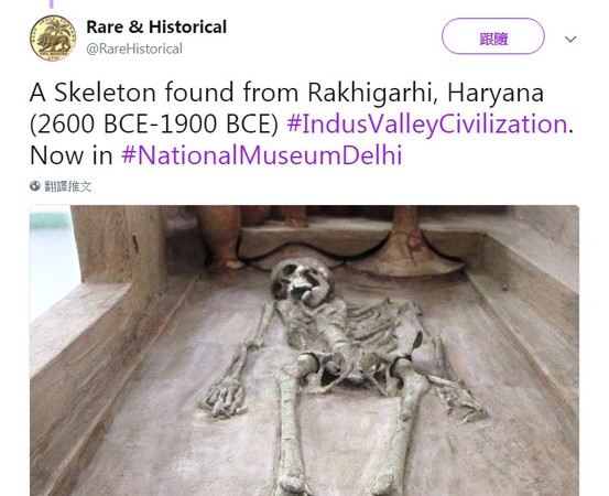 4500年古城拉希加里發現DNA　將撼動印度種姓制度！（圖／翻攝自Rare & Historical的推特）