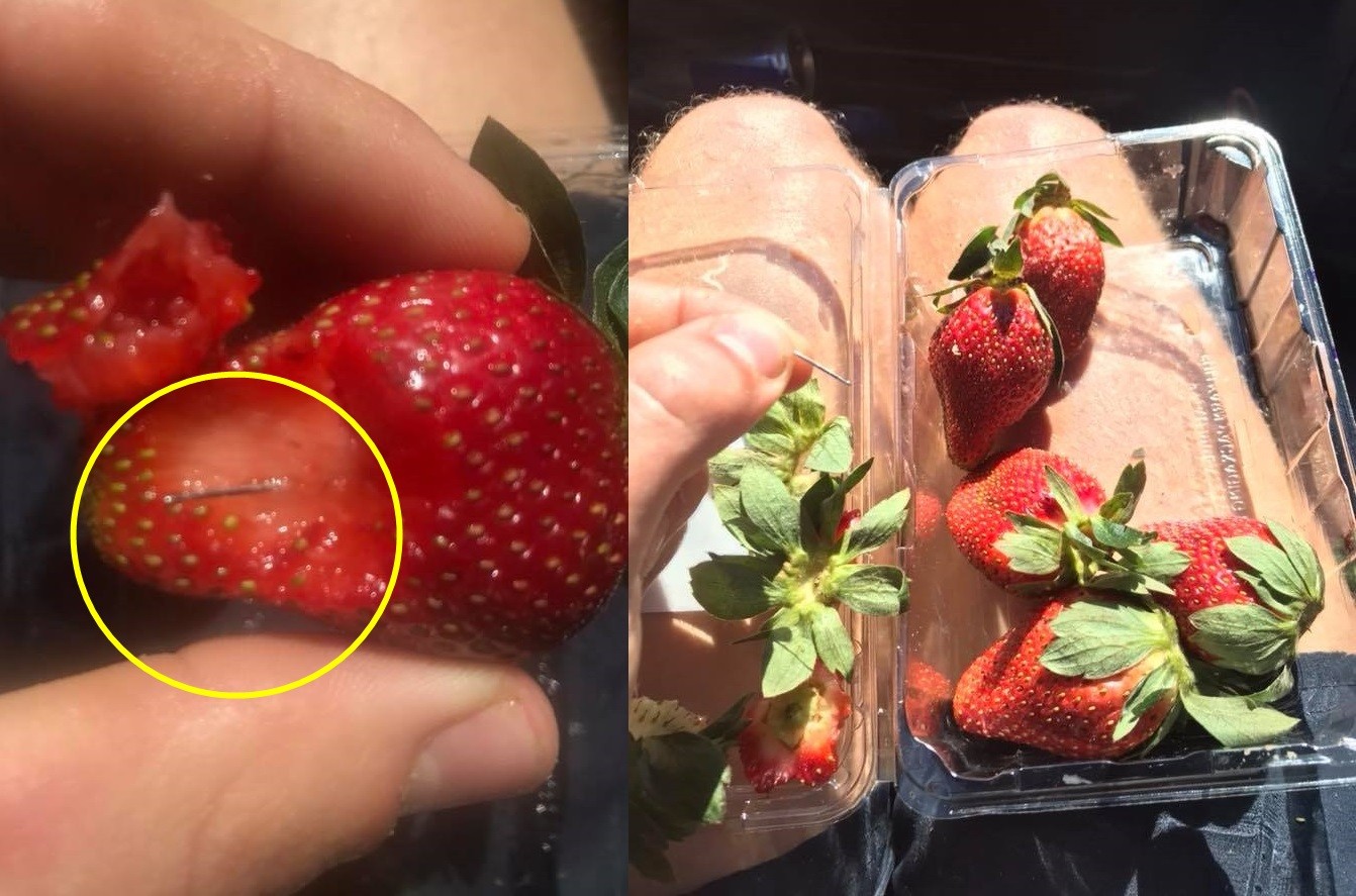 ▲▼ 澳洲超市販售的草莓竟藏有縫紉針。（圖／翻攝自臉書／Joshua Gane）