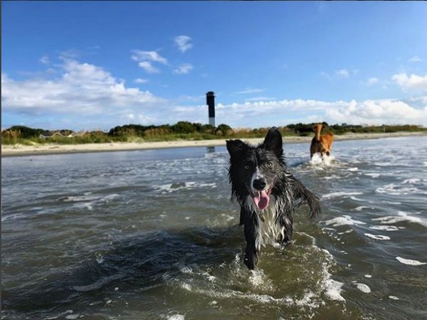 ▲▼ Instagram,#hurrication。（圖／翻攝自Instagram）