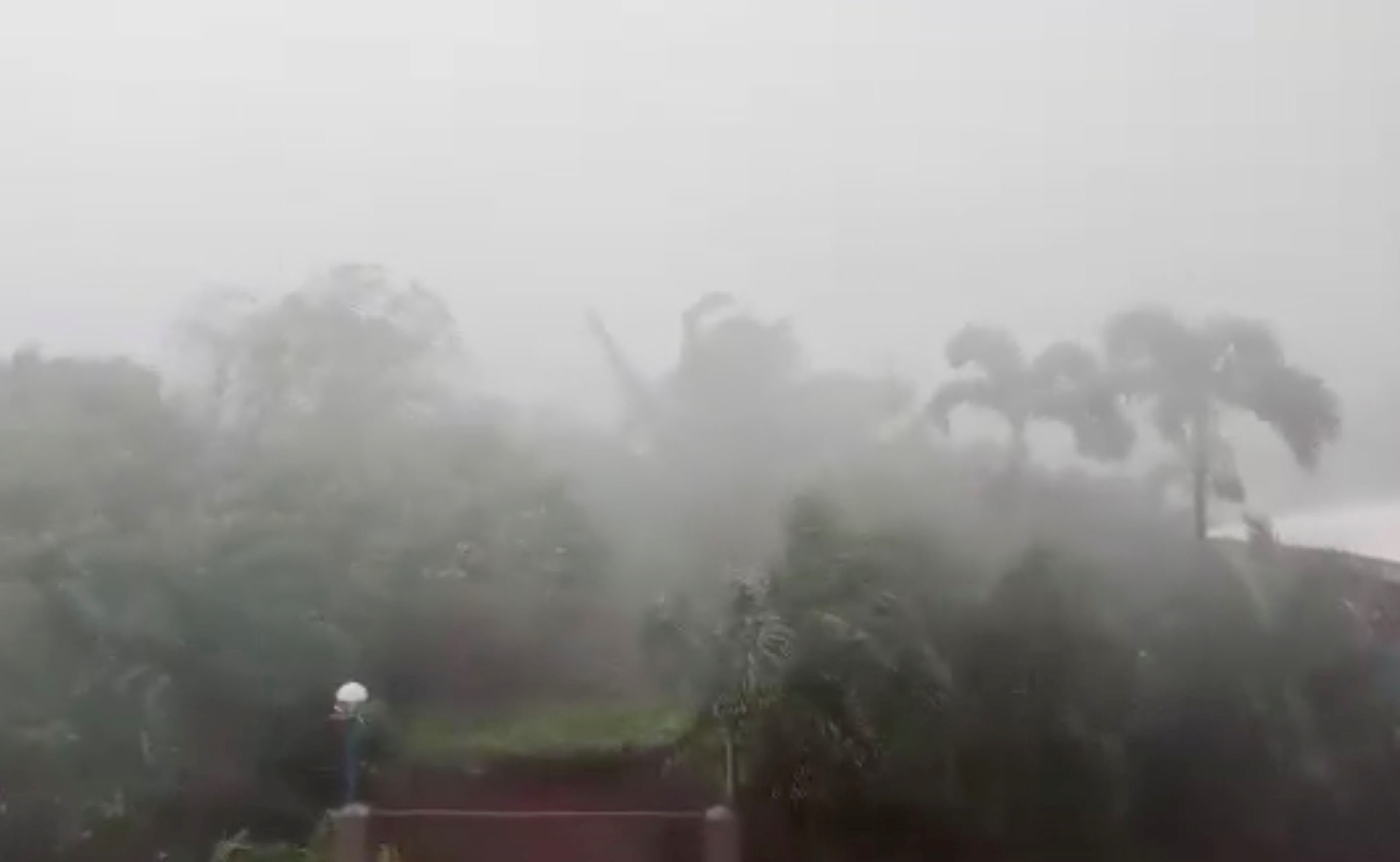 ▲山竹颱風登陸菲律賓呂宋島，強勁風速和雨勢相當可怕。（圖／路透社）