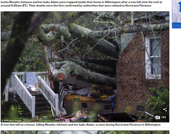 ▲佛羅倫斯颶風造成巨樹壓屋。（圖／翻攝自每日郵報）