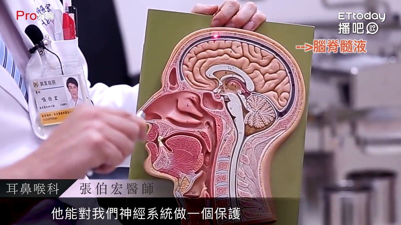流鼻水有生命危險 竟是 腦脊髓液 外漏 恐引起腦膜炎 Ettoday健康雲 Ettoday新聞雲
