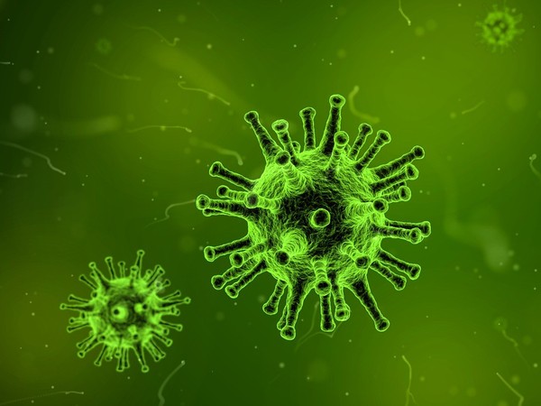 ▲▼細菌、病毒示意圖。（圖／取自免費圖庫pixabay）