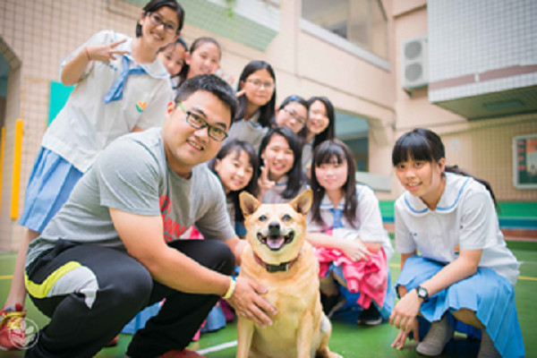 ▲▼推友善動物環境！新北辦校犬網路票選　報名參賽萬元等著拿。（圖／新北市動保處提供）