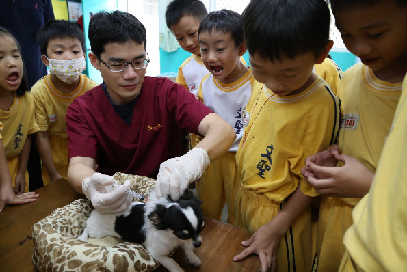 ▲▼推友善動物環境！新北辦校犬網路票選　報名參賽萬元等著拿。（圖／新北市動保處提供）