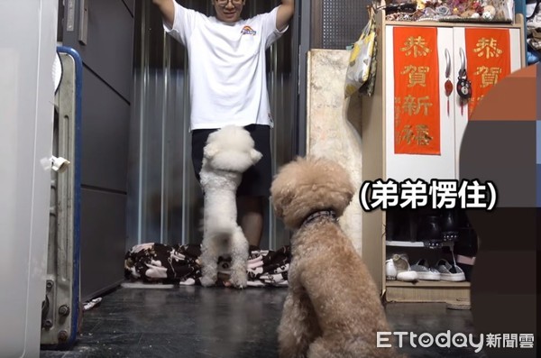 ▲3個月沒見！哥「魔術毯」給驚喜　汪愣5秒暴衝舔翻：想死你啦。（圖／「希露弟弟啃雞腿」提供）