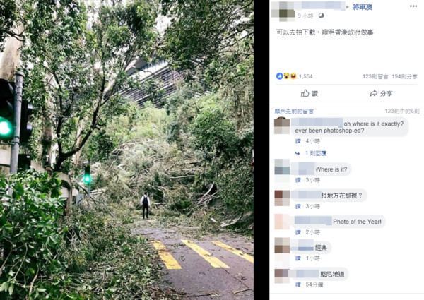 ▲▼山竹颱風過後，香港街頭變叢林。（圖／翻攝自臉書社團「將軍澳」）