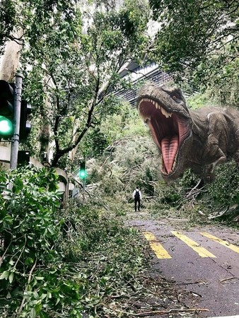 ▲▼山竹颱風過後，香港街頭變叢林。（圖／翻攝自臉書社團「將軍澳」）