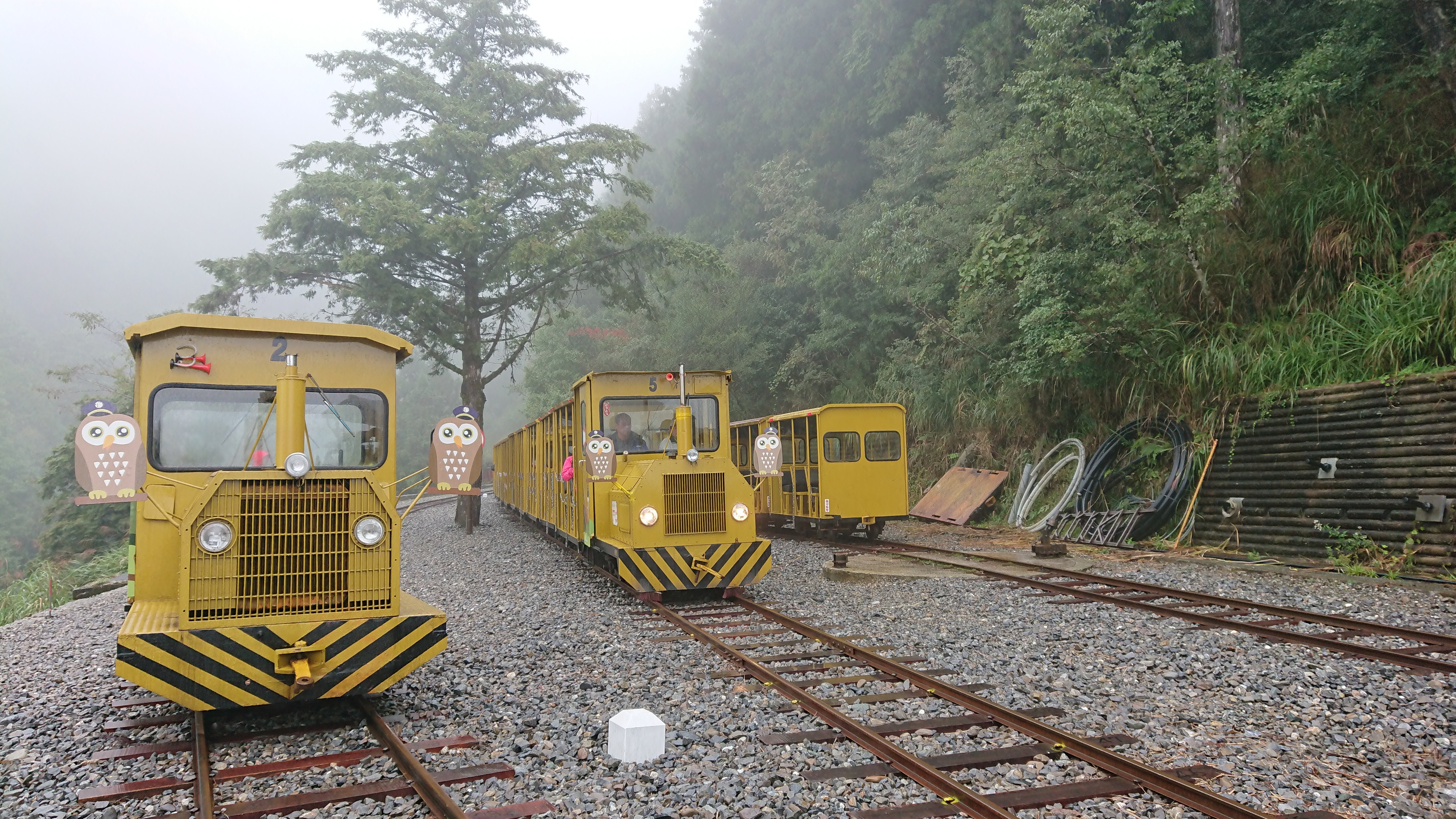 ▲▼太平山蹦蹦車。（圖／林務局提供）