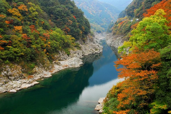 ▲日本四國▼             。（圖／翔笙旅行社、shutterstock.com提供）