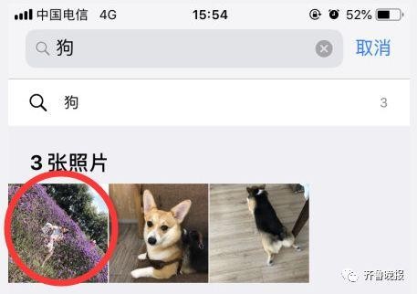 ▲ios 12魔性的照片搜索功能。（圖／翻攝自北青網）