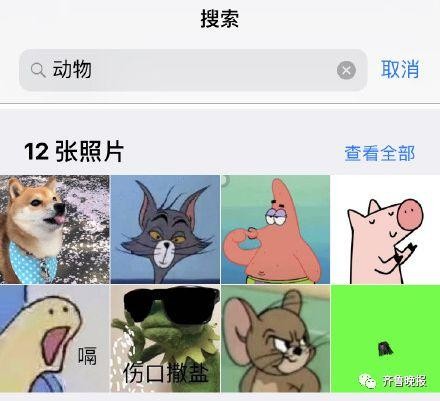 ▲▼ios 12魔性的照片搜索功能。（圖／翻攝自微博、網友提供）