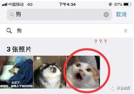 ▲▼ios 12魔性的照片搜索功能。（圖／翻攝自微博、網友提供）