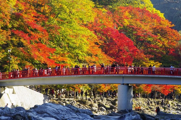 ▲日本▼             。（圖／shutterstock.com、汎佳旅行社提供）