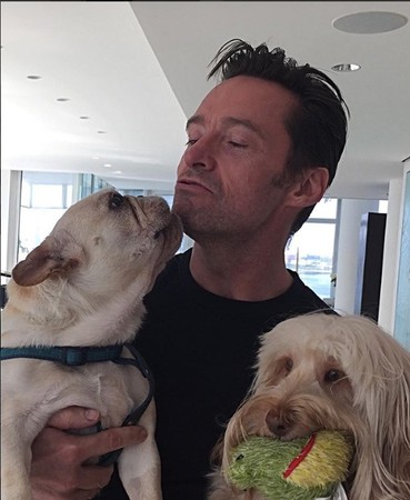 休傑克曼（Hugh Jackman）和愛犬。（圖／翻攝自休傑克曼IG）