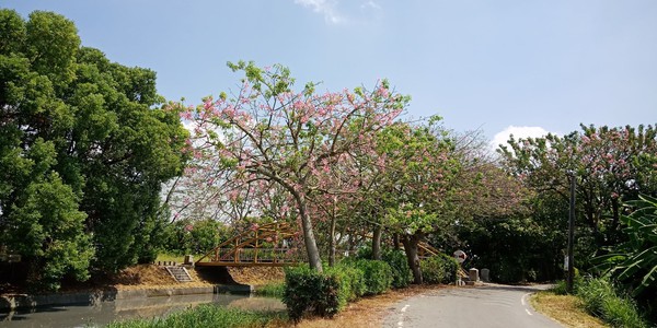 ▲彰化北斗河濱公園。（圖／網友范世麟提供，請勿隨意翻拍，以免侵權）