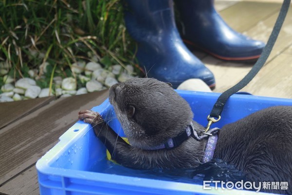 ▲▼東京池袋陽光水族館。（圖／記者蔡玟君攝）