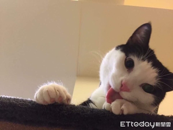 ▲▼ 賓士曼赤肯阿迪舉單手伸懶腰。（圖／Instagram帳號「ininmhm」授權，請勿隨意翻拍，以免侵權，下同。）