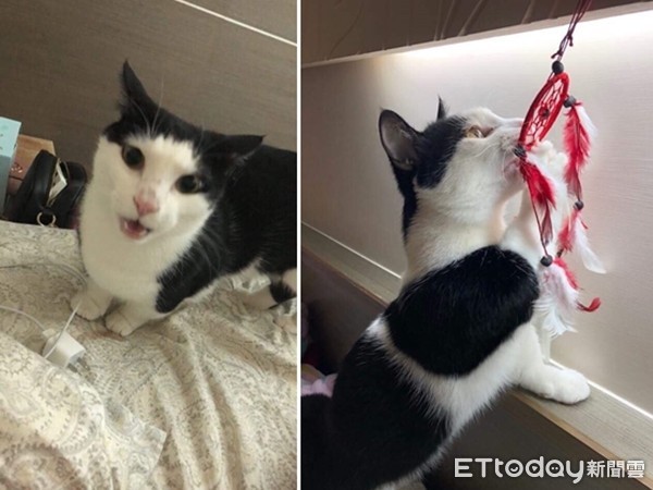 ▲▼ 賓士曼赤肯阿迪舉單手伸懶腰。（圖／Instagram帳號「ininmhm」授權，請勿隨意翻拍，以免侵權，下同。）