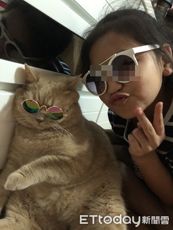 ▲主子被當成手機架。（圖／網友&lrm;Sasa Chan&lrm; 提供）