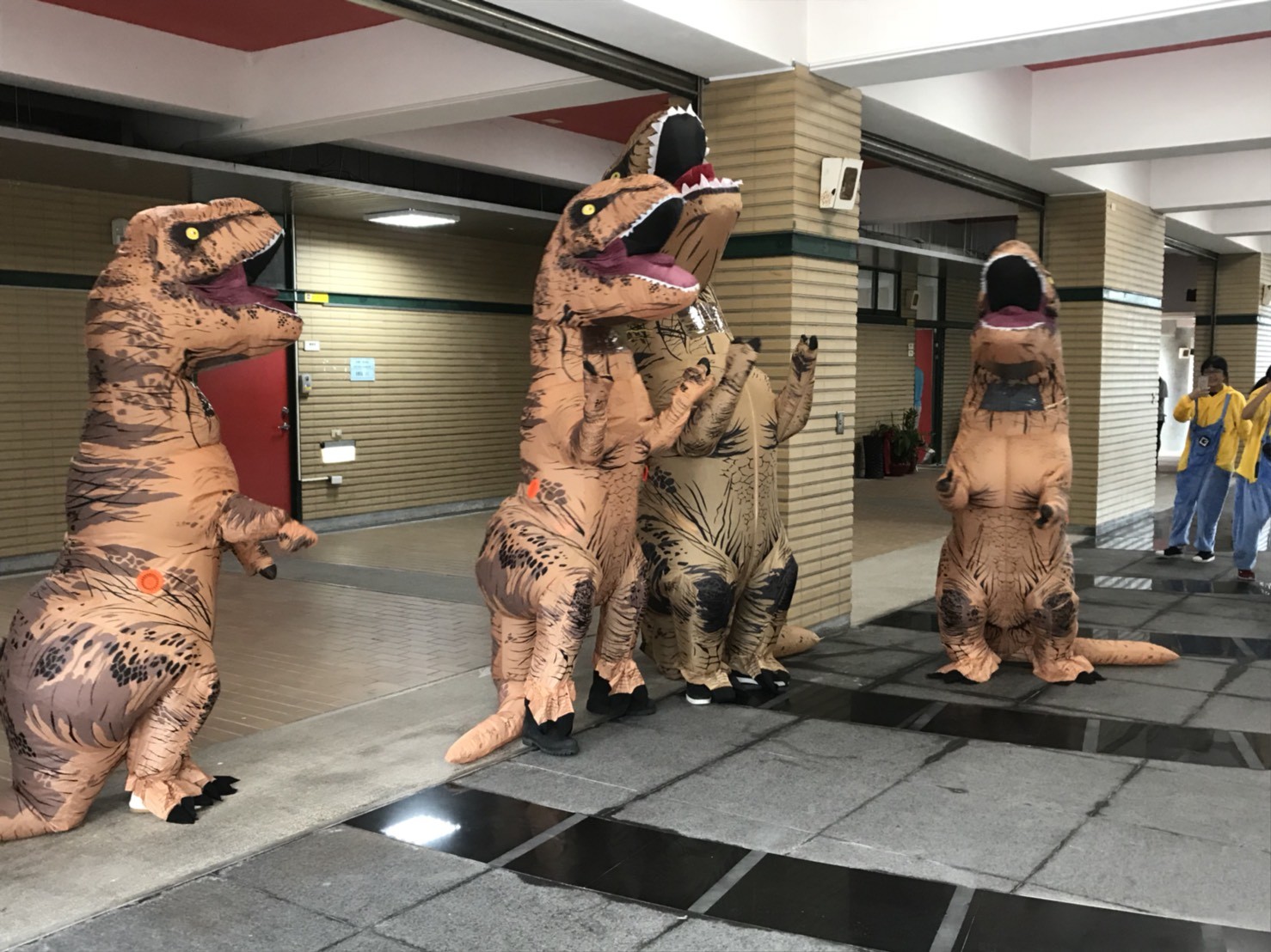 ▲▼政大附中制服週。（圖／記者崔至雲攝）