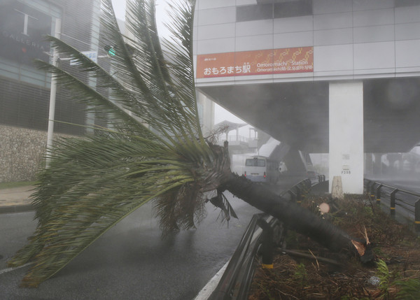 ▲▼潭美颱風（Trami）9月29日侵襲沖繩，受到豪雨影響，陸地彷彿成了海洋。（圖／達志影像／美聯社）