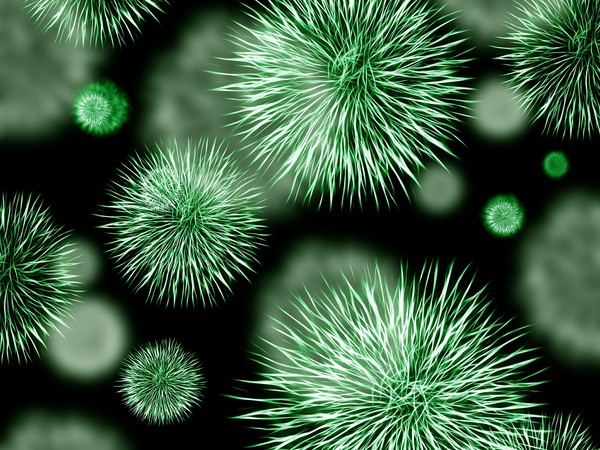 ▲▼細菌、病毒示意圖。（圖／取自免費圖庫pixabay）