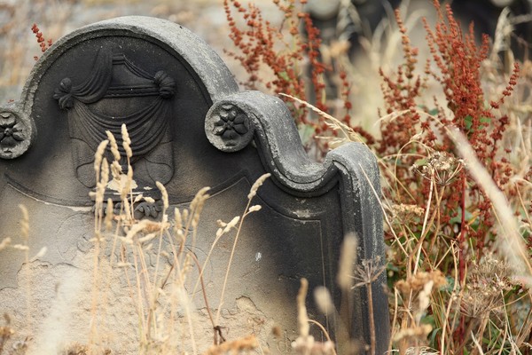 ▲▼墓碑,石碑,公墓,墓地,葬禮。（圖／示意圖／取自Pixabay）