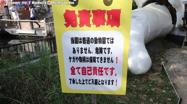 ▲▼日本最危險動物園！簽「生死狀」才能進　劇毒生物她嚇到狂抖。（圖／MaoMaoTV提供）