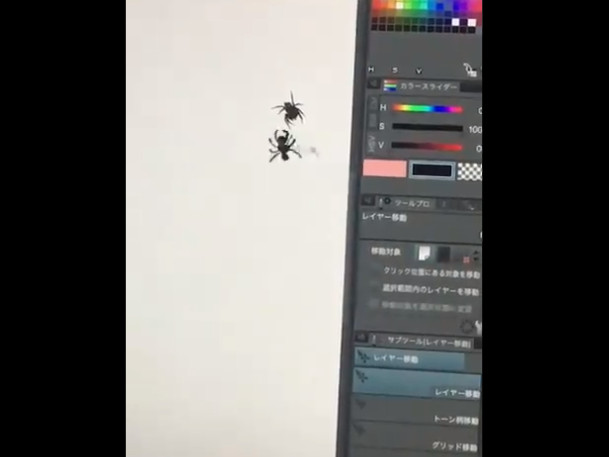 ▲▼日本網友對付蜘蛛，竟然自己電繪一隻「跨次元PK」。（圖／翻攝自推特，teufel_wa_angel）