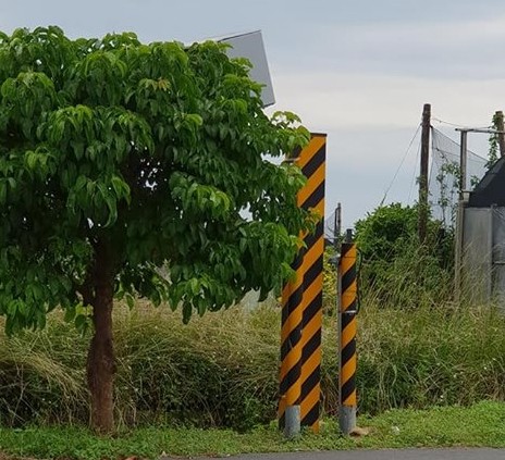 ▲宜蘭的超速器被樹擋住，根本拍不到超速的車輛。（圖／爆廢公社）