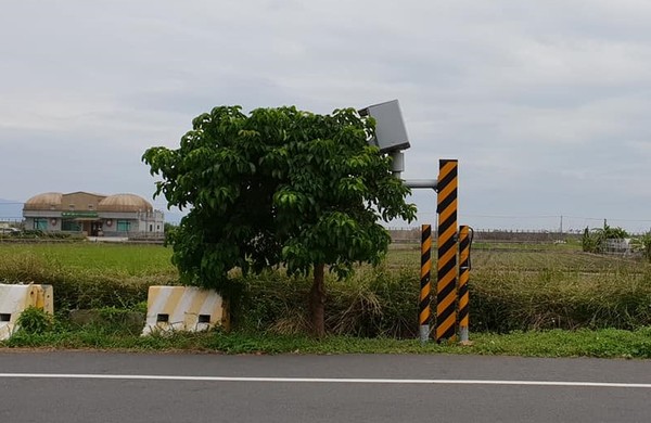 ▲宜蘭的超速器被樹擋住，根本拍不到超速的車輛。（圖／爆廢公社）